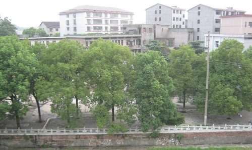 总库容628万m³!道真县关口水库工程(大坝枢纽)监理招标